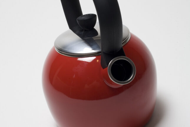 Teakettle3